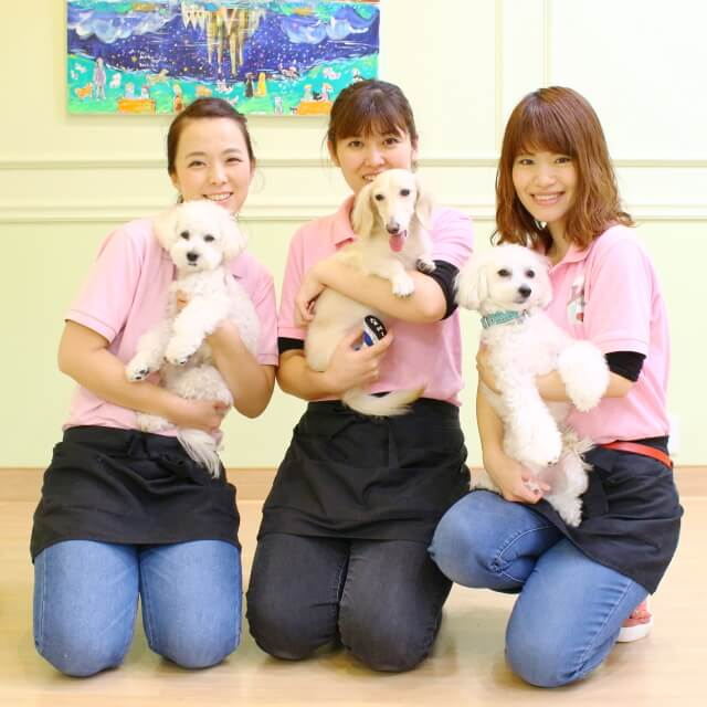 Dog Care Salon LINDO Dog Care Salon LINDO