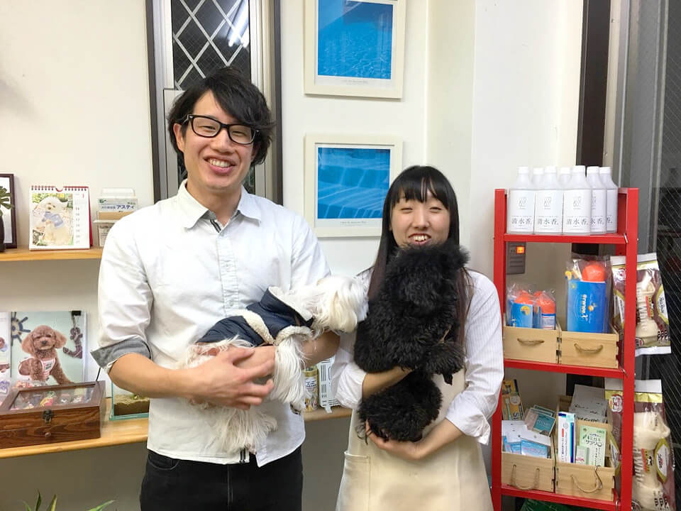 犬の美容室アスティ 蘇我店 犬の美容室アスティ 蘇我店