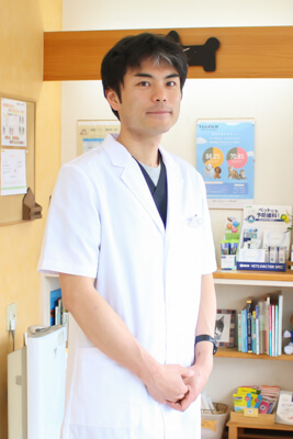 川口市にあるおすすめの動物病院特集!