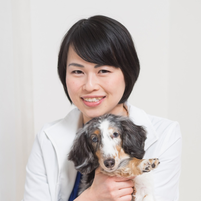 OurPetsどうぶつ診療所の院長 OurPetsどうぶつ診療所の院長