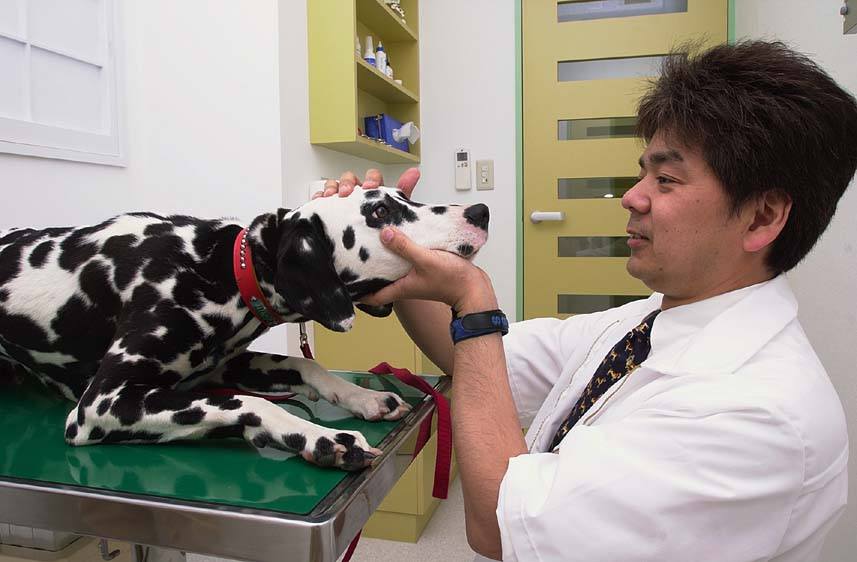 センターきた動物病院 センターきた動物病院