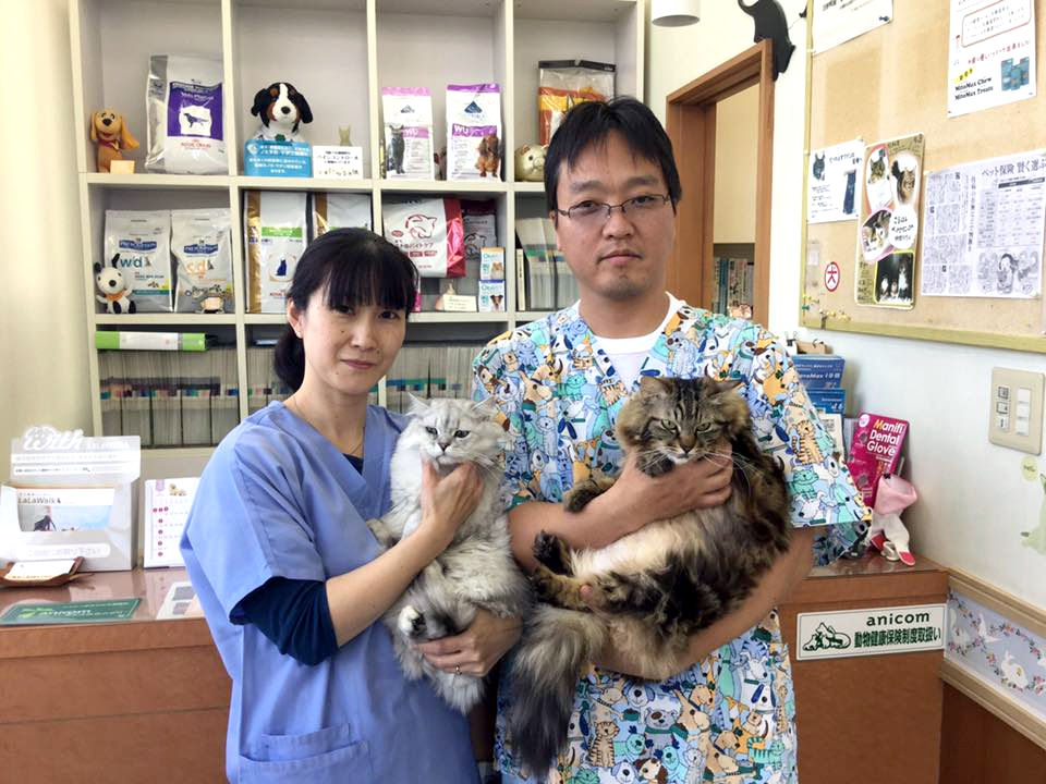 こうはしペットクリニック こうはしペットクリニック