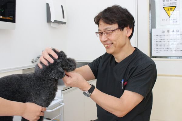 茅ヶ崎市の動物病院【3選】夜間対応など評判の施設特集!