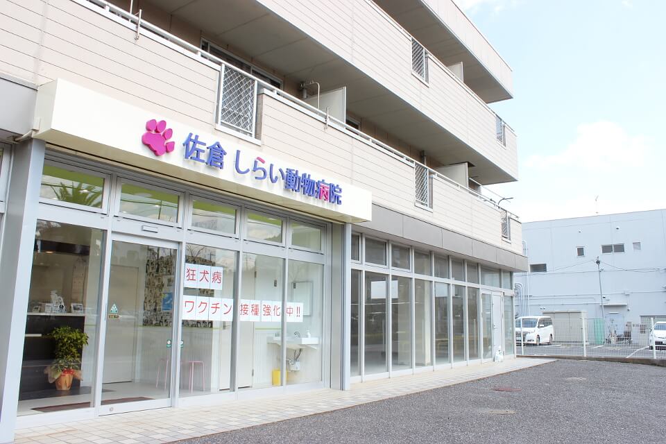 画像説明 画像説明