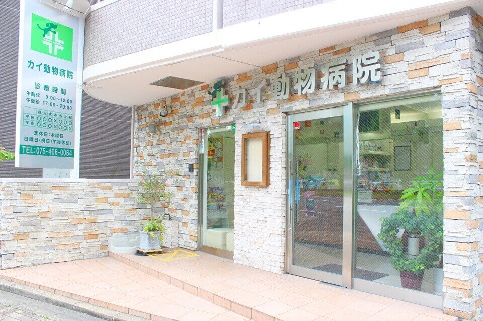 画像説明 画像説明
