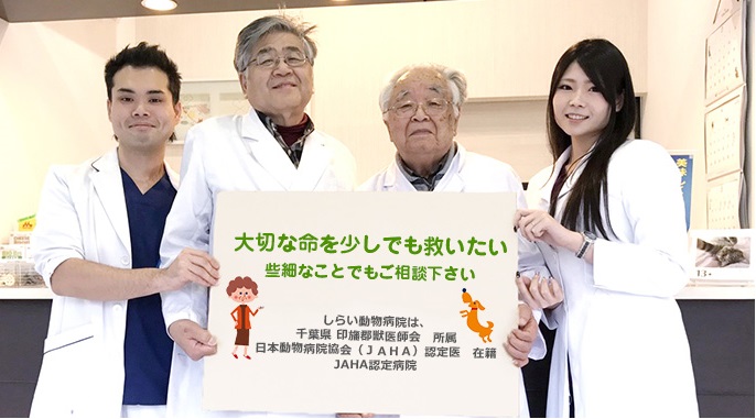 画像説明 画像説明