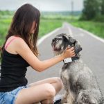 愛犬の暑さ対策！冷房を上手に使おう！