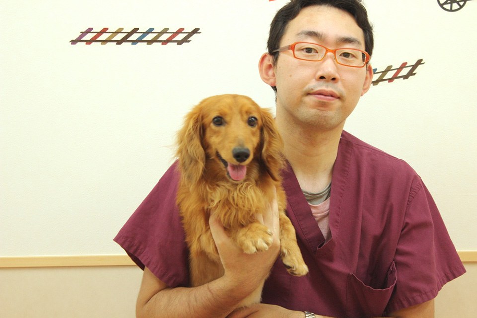 かしわだい動物病院 かしわだい動物病院