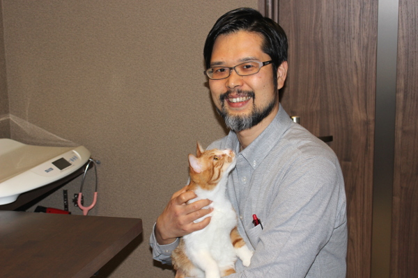 大阪市で評判の動物病院12選!夜間対応可能施設など