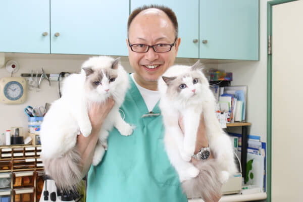 横浜市の動物病院12選!口コミ掲載