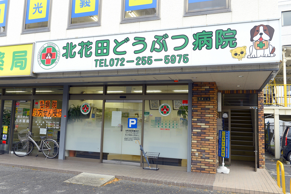 堺市の動物病院7選!口コミ掲載