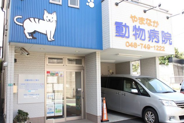 さいたま市の動物病院10選!口コミ掲載