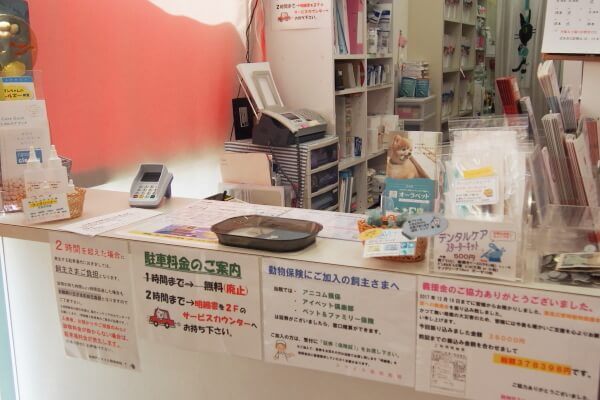 神戸市でおすすめの動物病院6選!WEB受付ができる病院あり