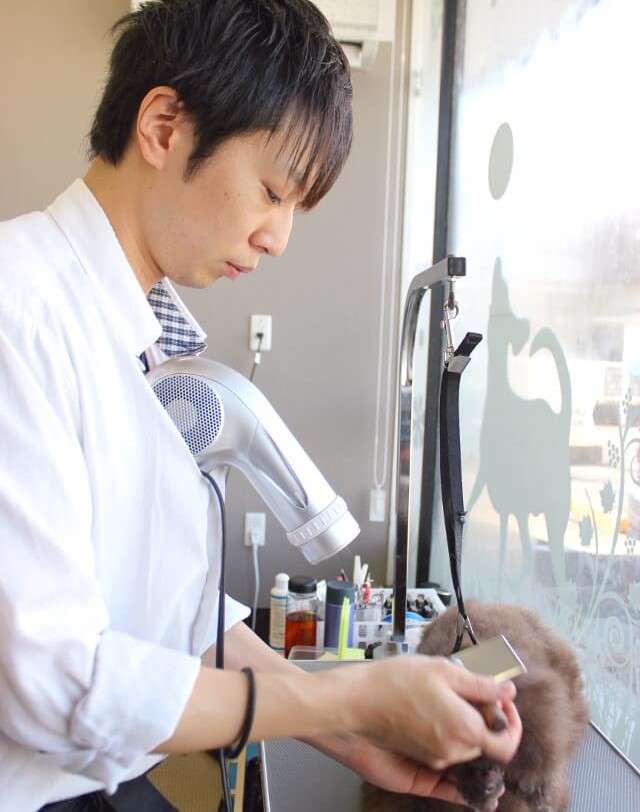 ペットサロンそよかぜ 南与野 ペットサロンそよかぜ 南与野
