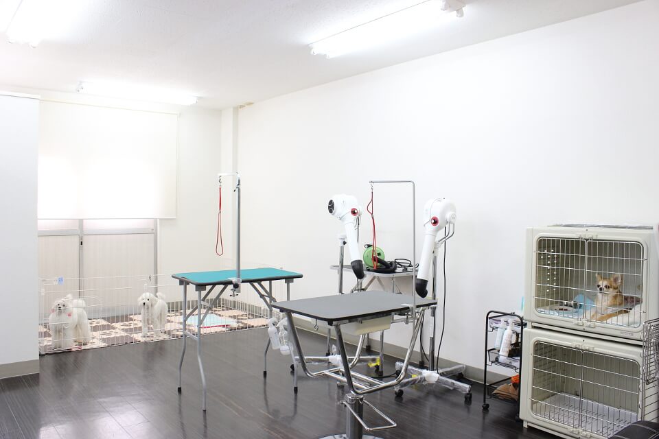 Dog Salon REGISTA(ドッグサロン レジスタ ) Dog Salon REGISTA(ドッグサロン レジスタ )