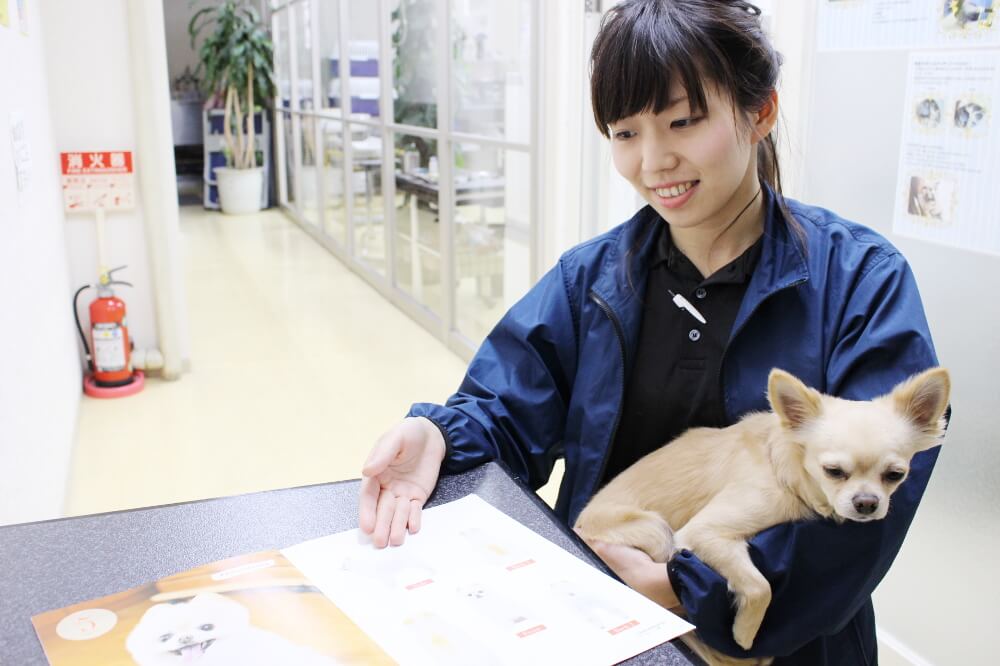 ドッグ・アミューズメント迎賓館 ドッグ・アミューズメント迎賓館