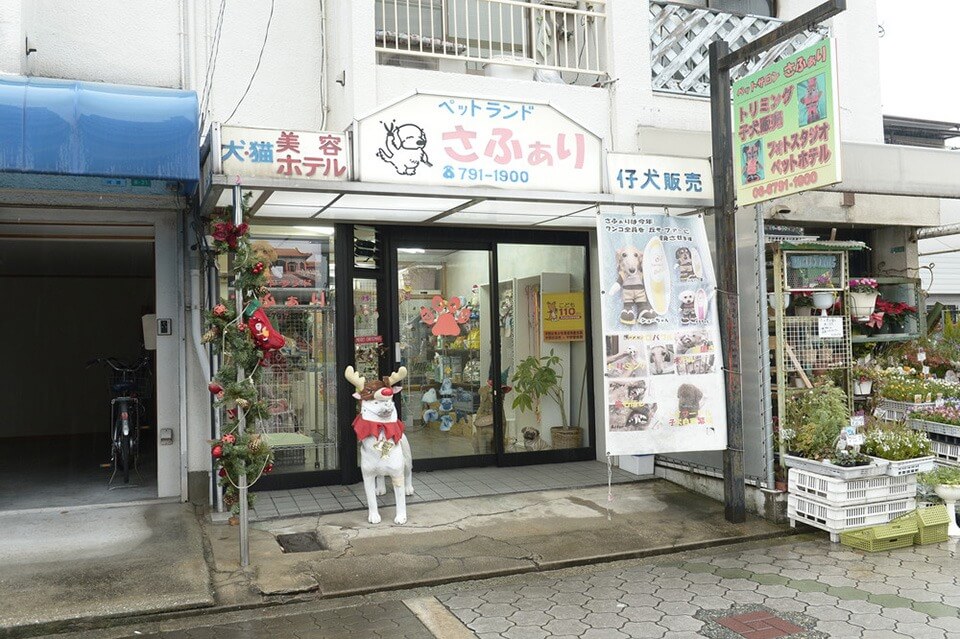 画像説明 画像説明