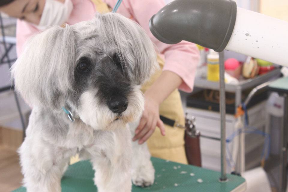 画像説明 画像説明