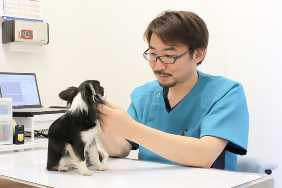 いちも動物病院 -Pet Life Ichimo 与野-の院長 いちも動物病院 -Pet Life Ichimo 与野-の院長