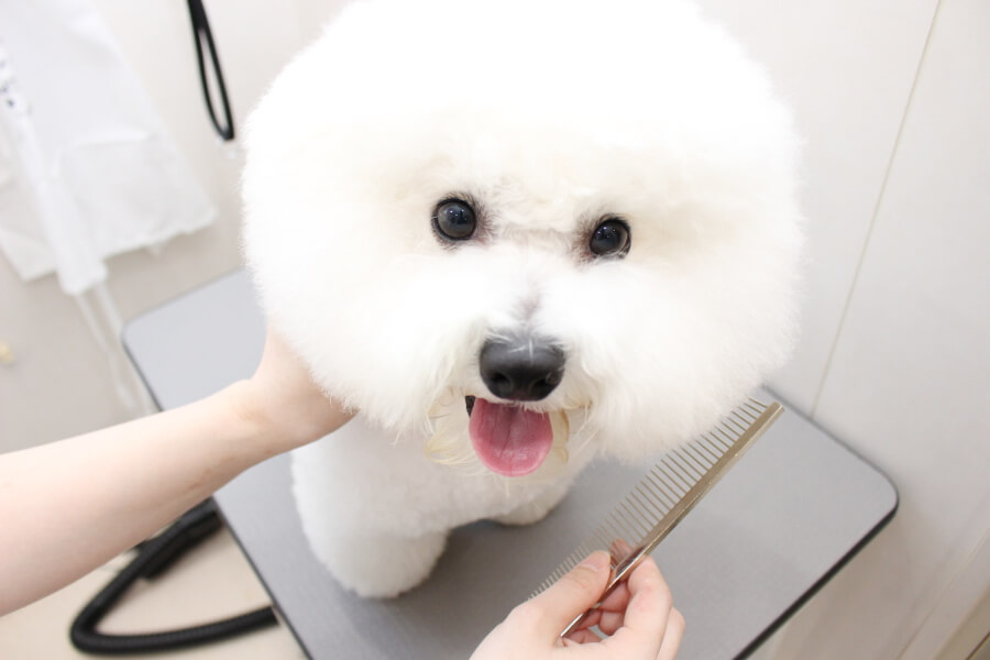 画像説明 画像説明