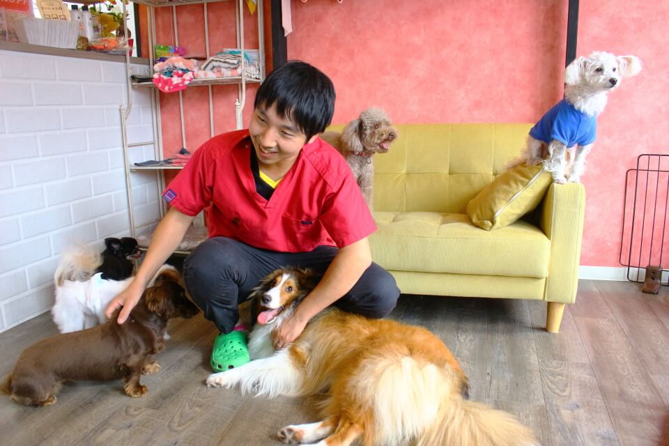 画像説明 画像説明