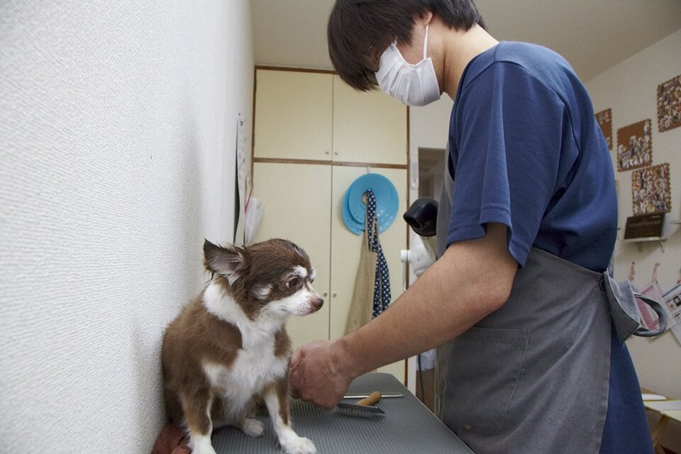 画像説明 画像説明