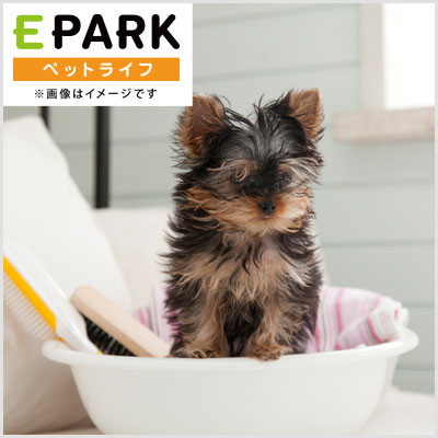 ブレスワンケンネル