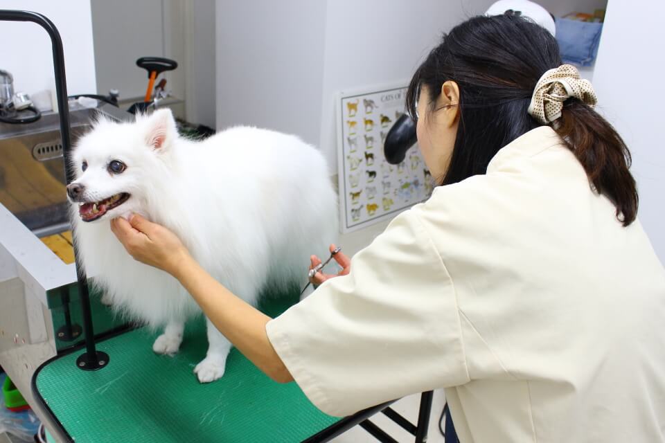 画像説明 画像説明