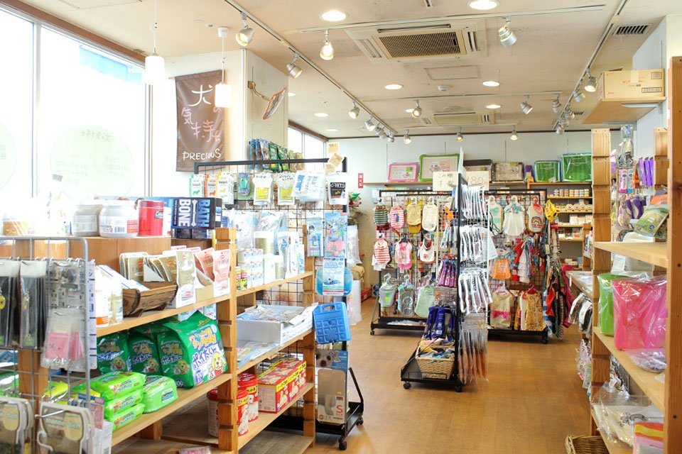 犬の気持ち 大泉店 犬の気持ち 大泉店