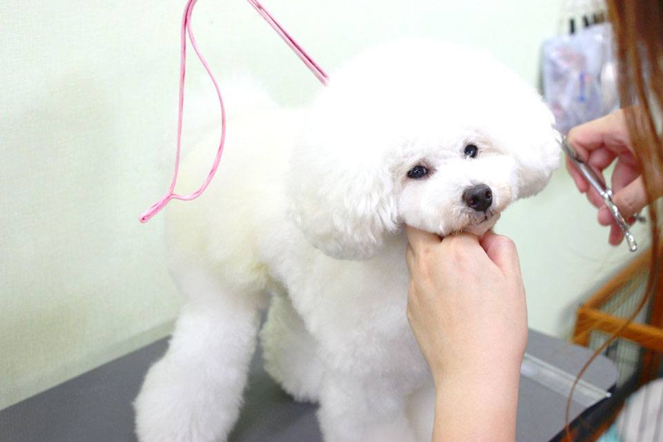 画像説明 画像説明