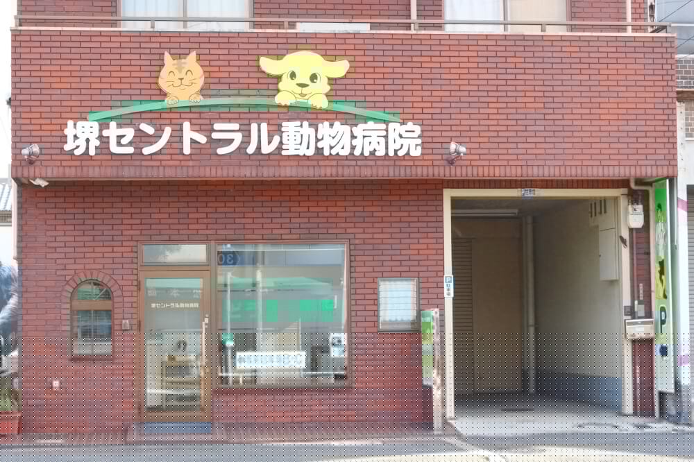 画像説明 画像説明