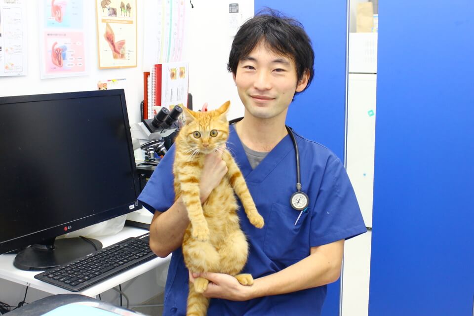 画像説明 画像説明