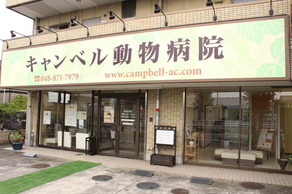画像説明 画像説明