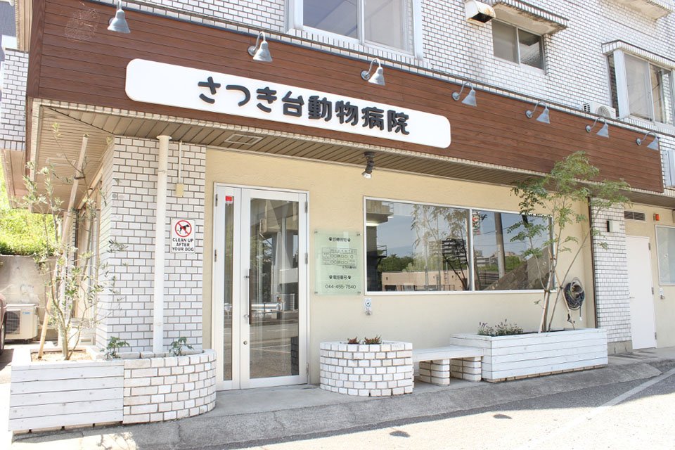 画像説明 画像説明