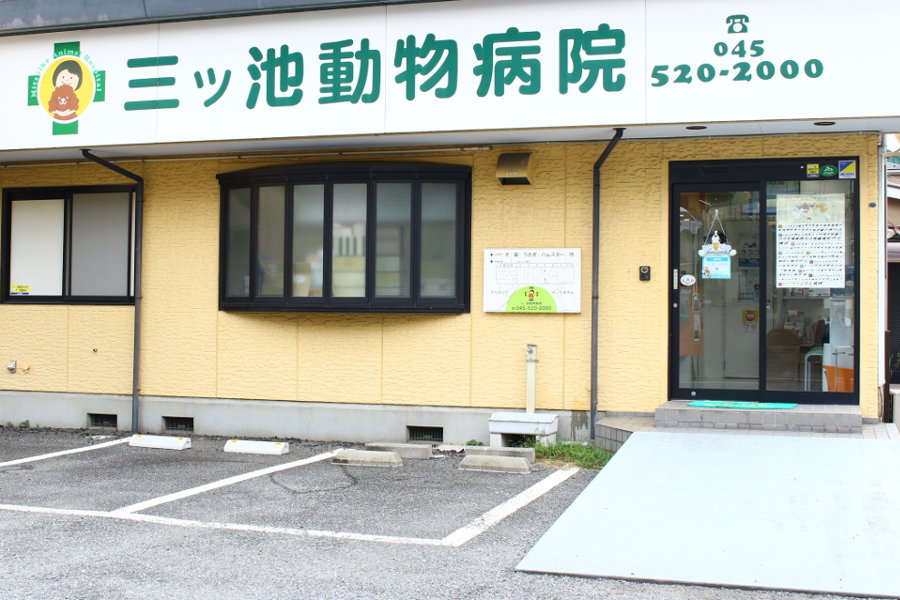 画像説明 画像説明