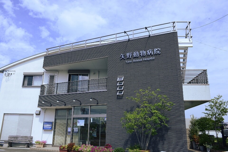 画像説明 画像説明