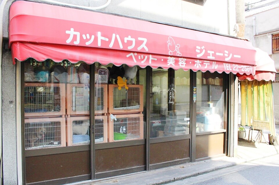 画像説明 画像説明