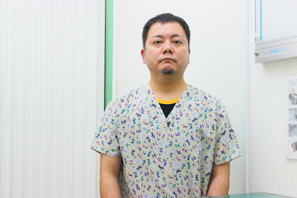 画像説明 画像説明