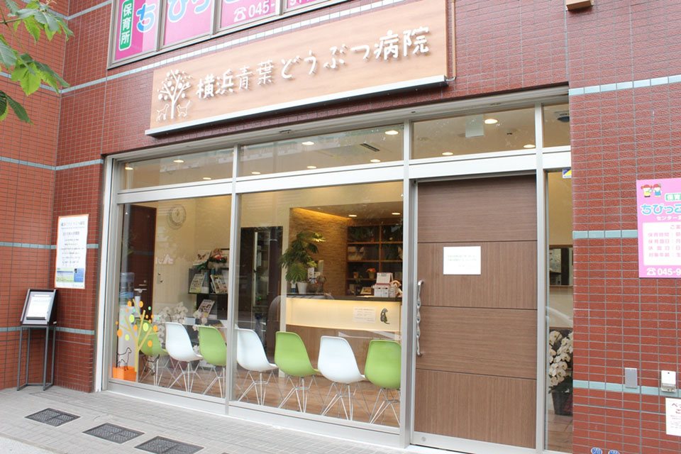 画像説明 画像説明