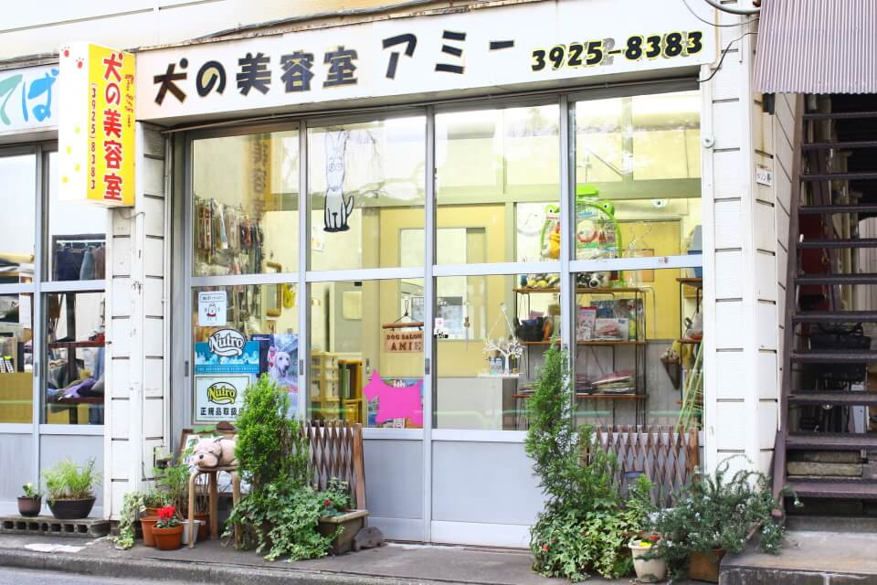 画像説明 画像説明