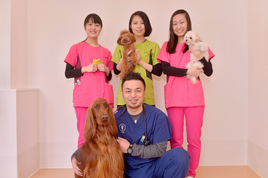 画像説明 画像説明