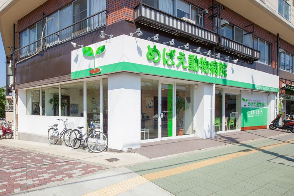 画像説明 画像説明