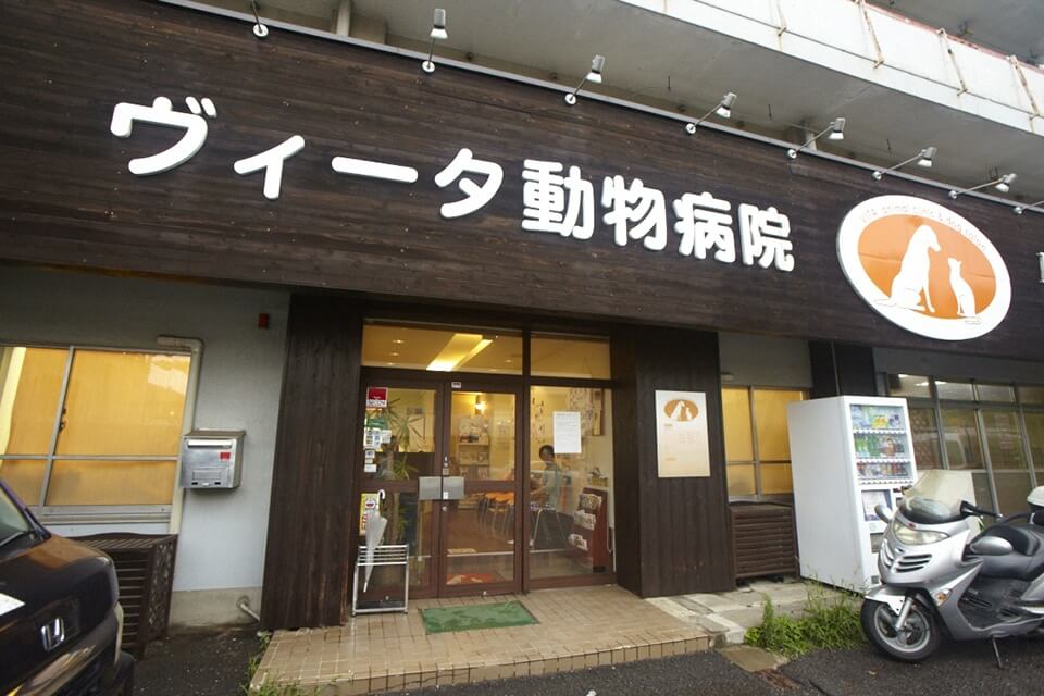 画像説明 画像説明