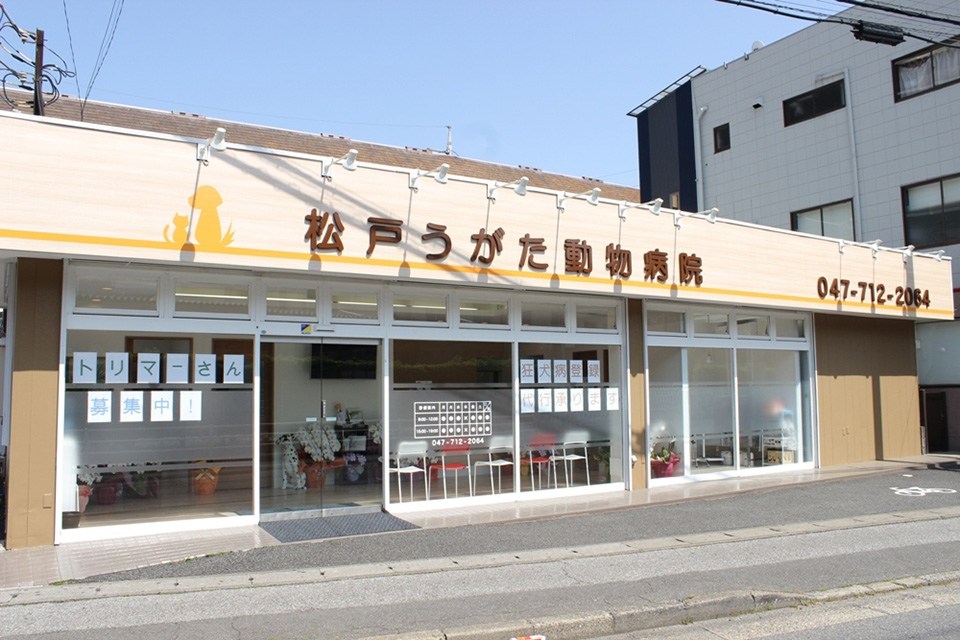 画像説明 画像説明
