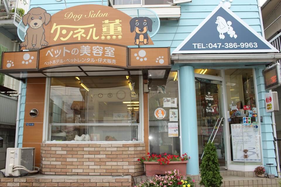 画像説明 画像説明