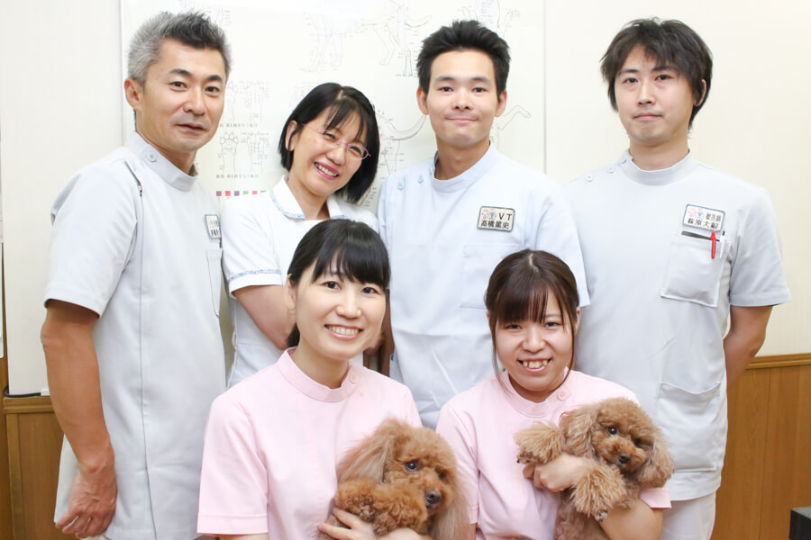 千城台動物病院(トリミング) 千城台動物病院(トリミング)