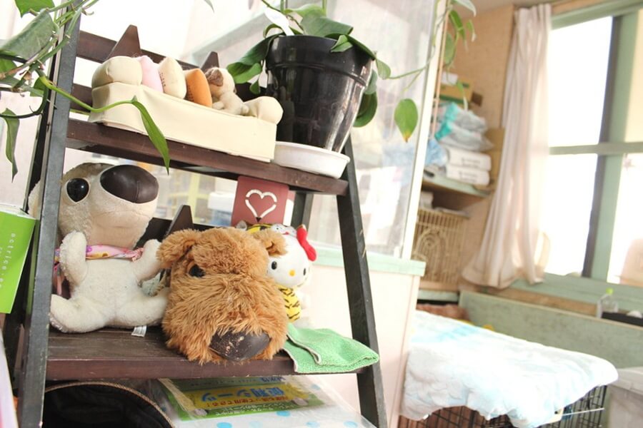 シュシュケンネル シュシュケンネル