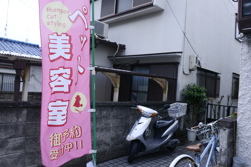 画像説明 画像説明