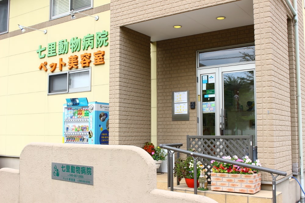 画像説明 画像説明