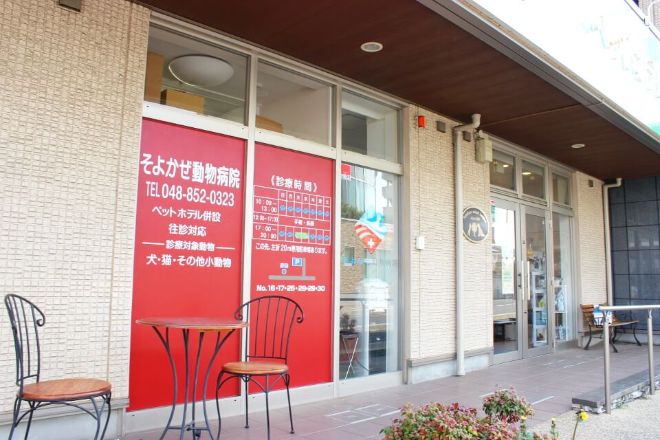 画像説明 画像説明